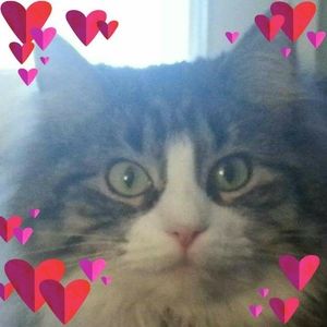 Meet your Posher, Rhonda